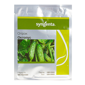 Семена огурца Октопус F1 | Octopus F1 Syngenta 500 семян
