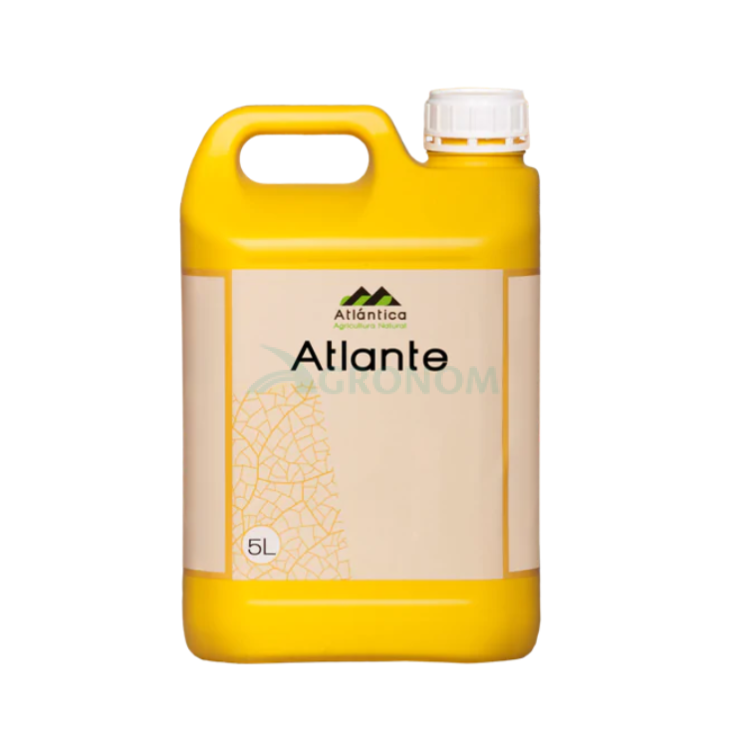 Фосфорно-калійне добриво Атланте 0-30-20 | Atlante Atlantica 5 л