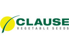 Clause